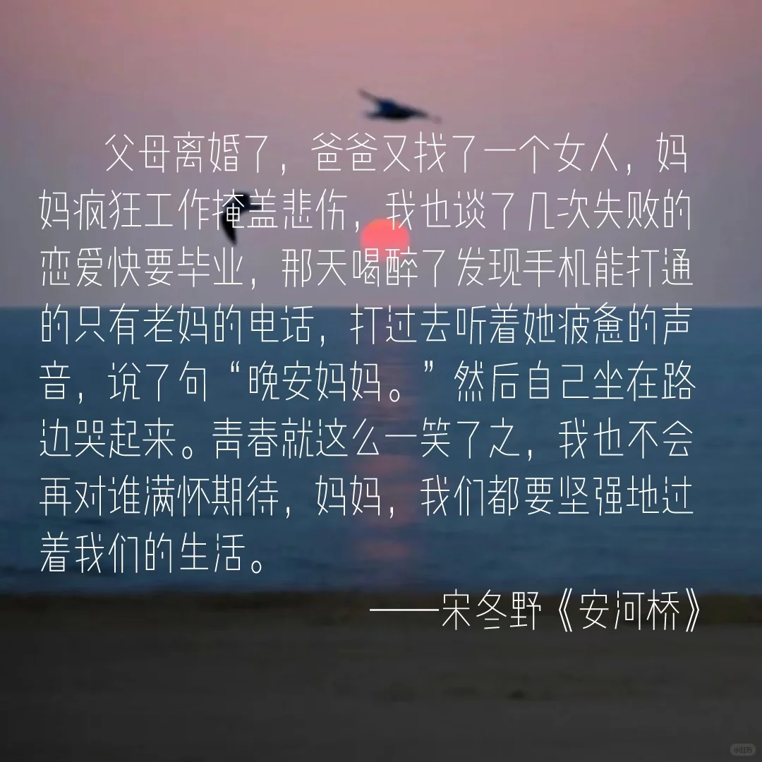 来说说你们都是从哪首歌开始喜欢民谣的？