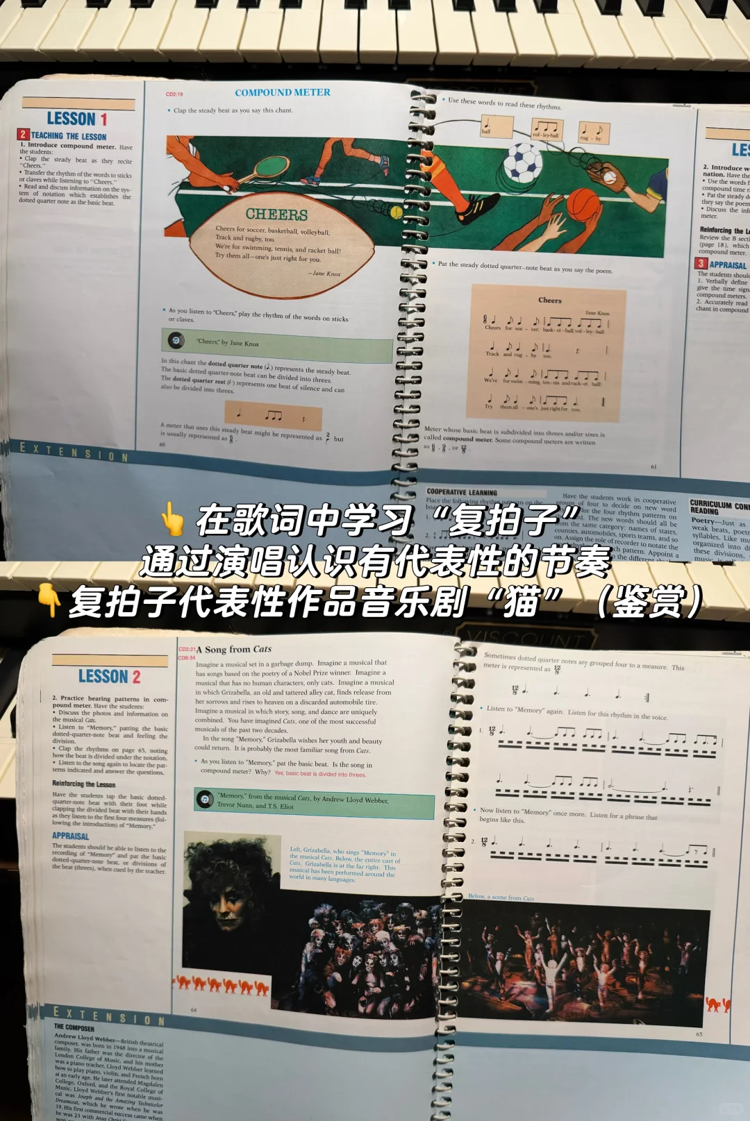 🇺🇸美国八年级音乐课本 教师指导用书