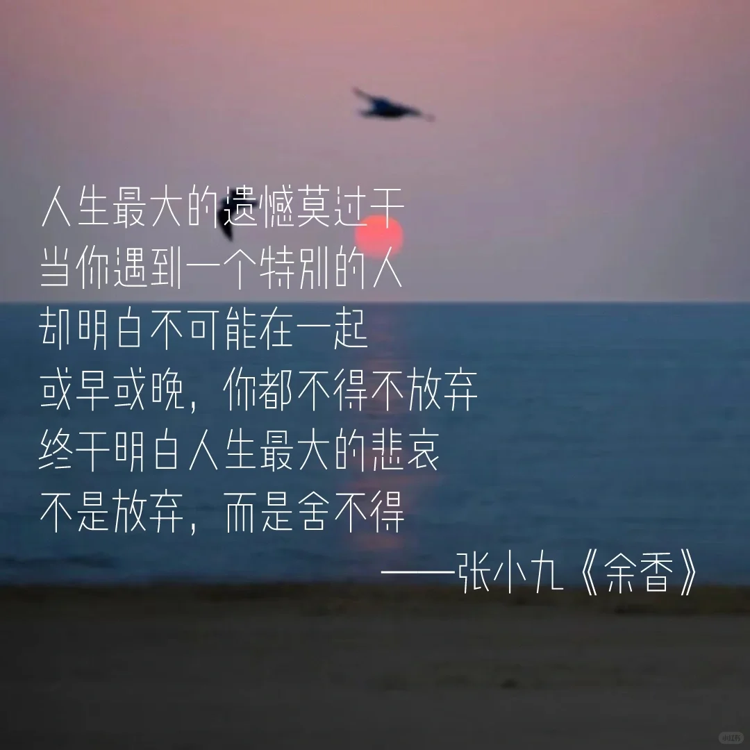 来说说你们都是从哪首歌开始喜欢民谣的？