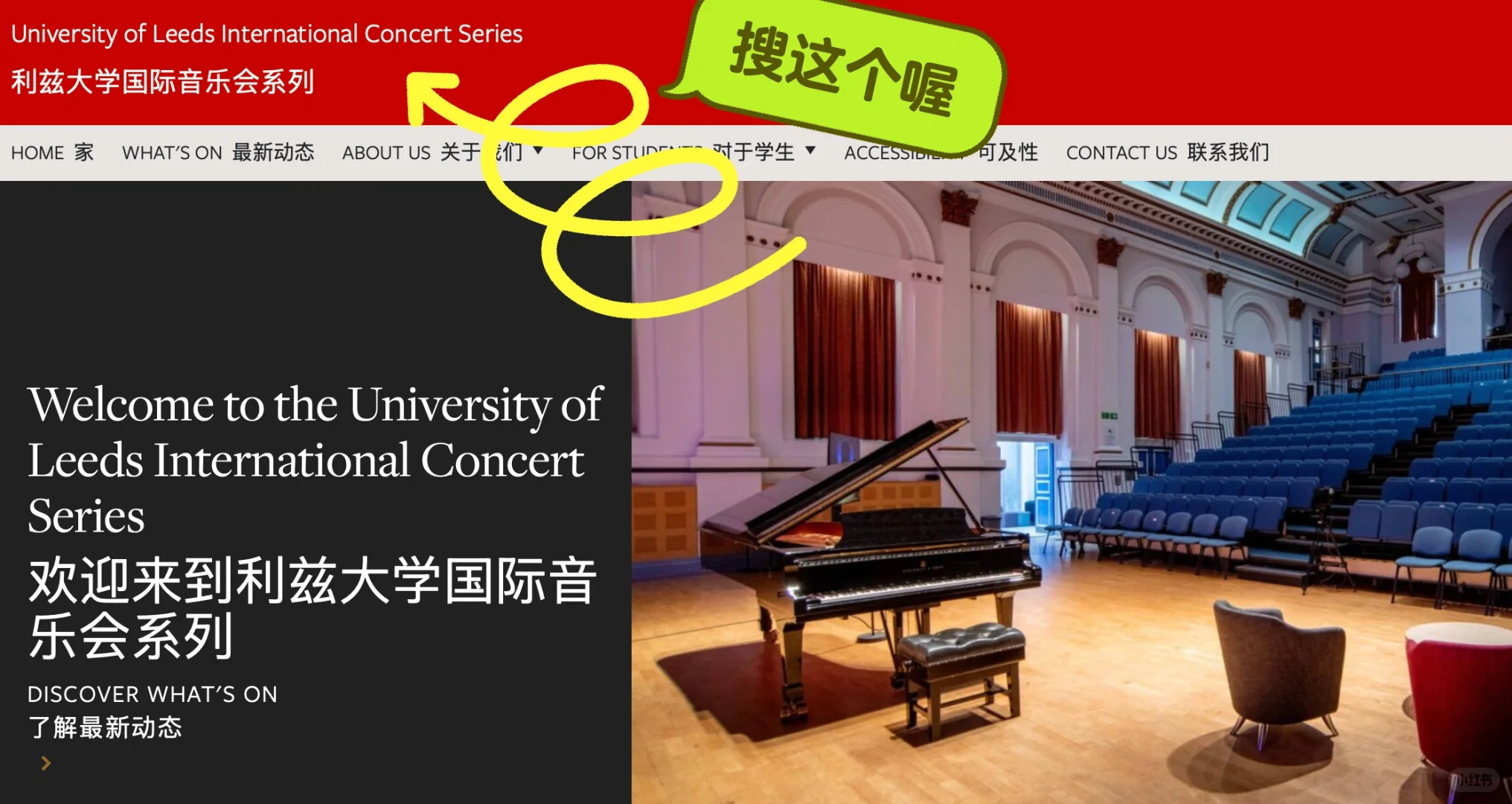 速冲|利兹免费音乐会,不来高雅一下?