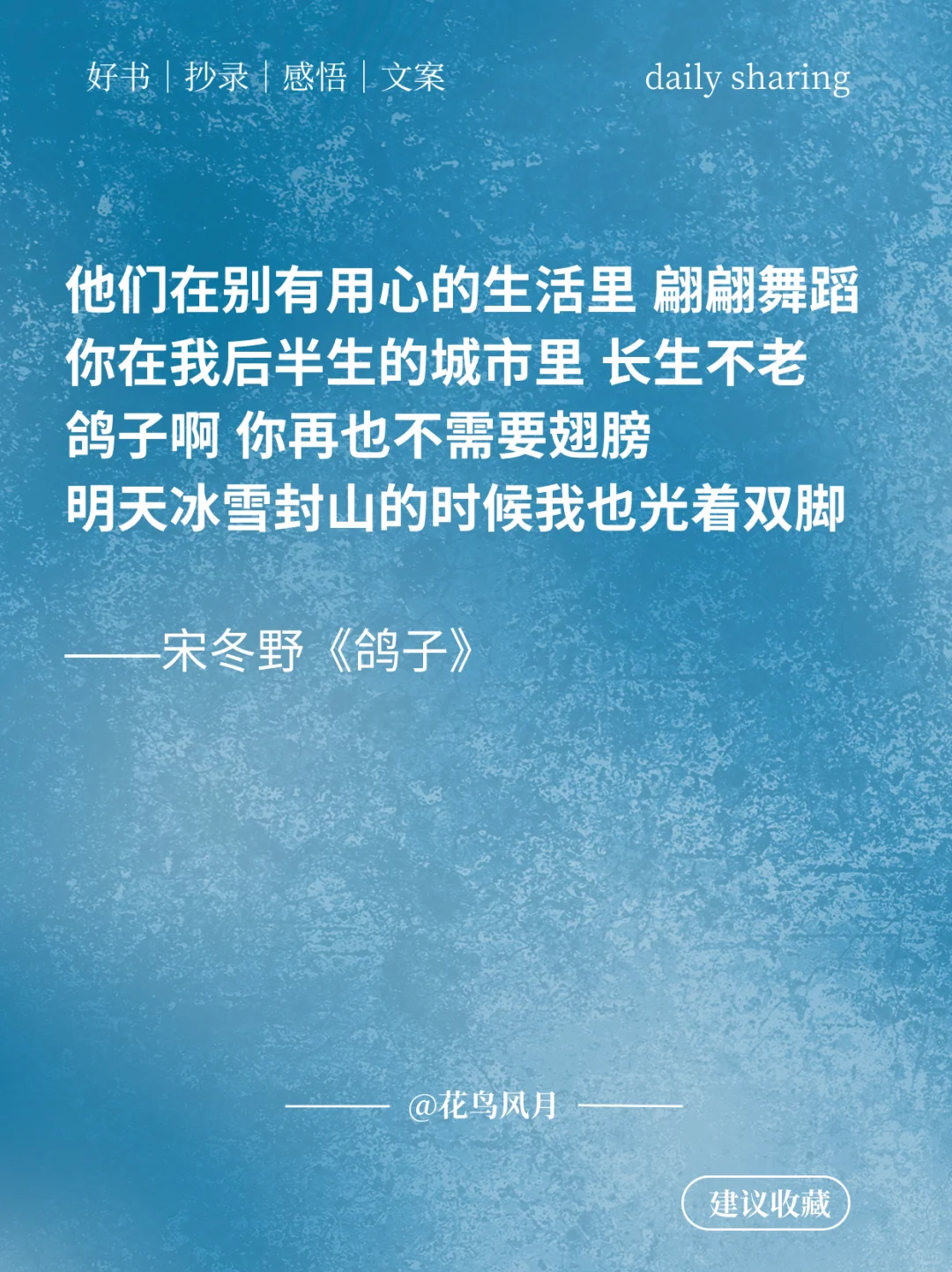 民谣歌手 宋冬野|深刻的生活观察