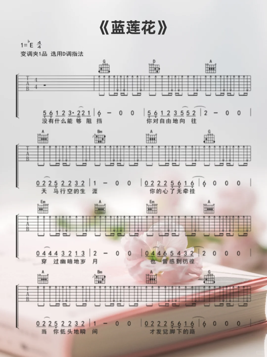 好听易上手的5首民谣吉他曲谱