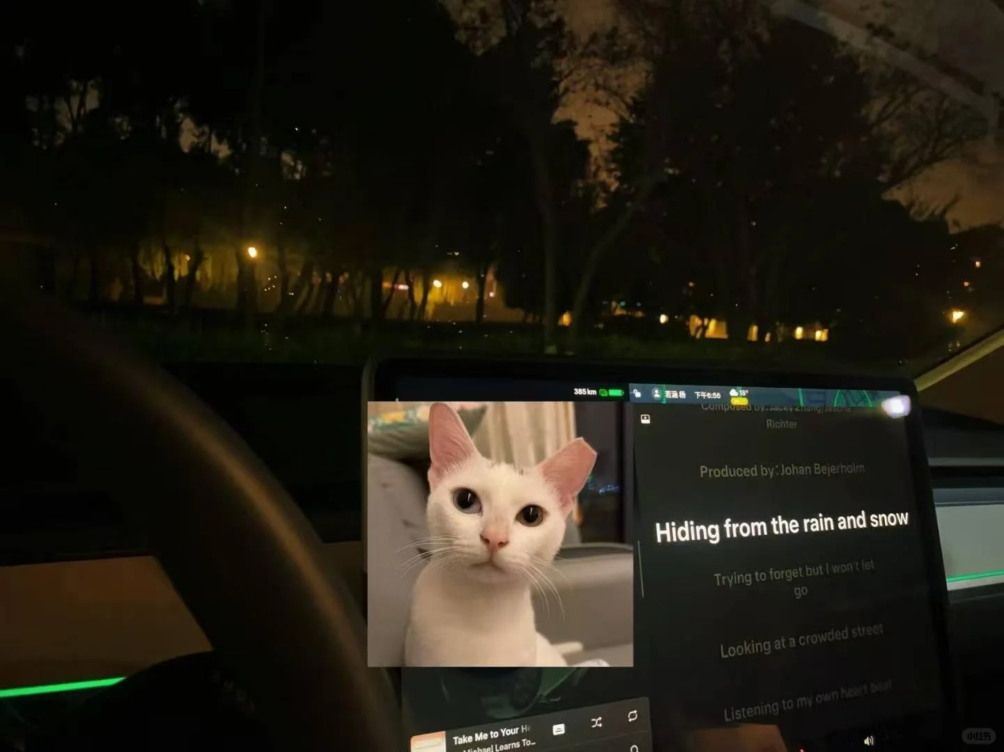 我拿孤独当娱乐🌹