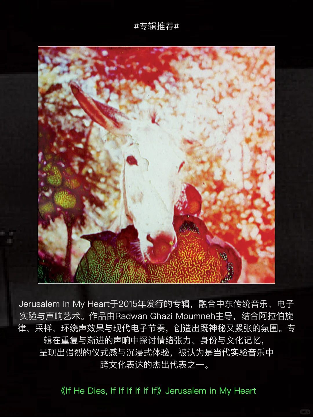 黑帝背后的厂牌，实验音乐百花齐放的乌托邦