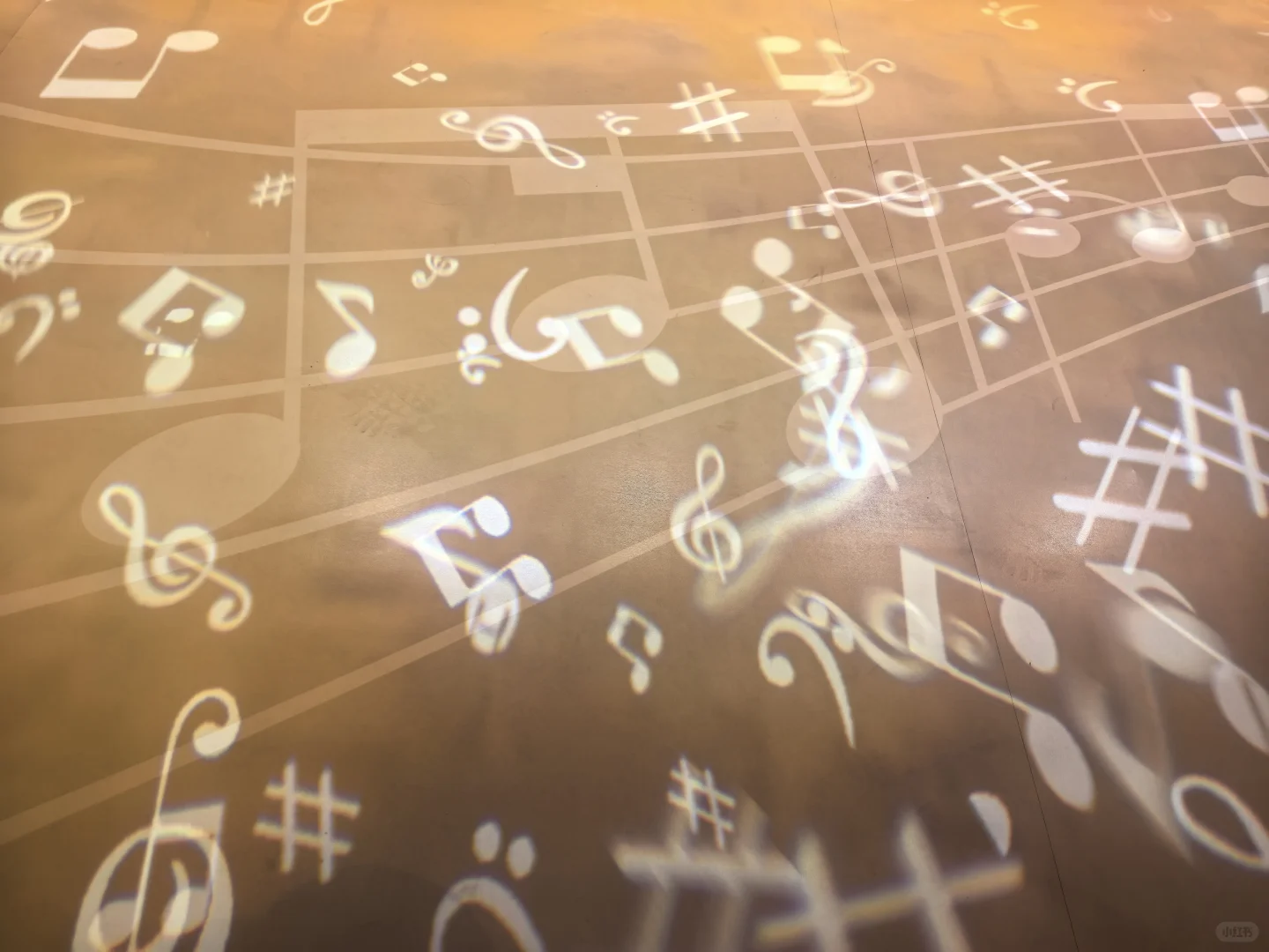 西城萨尔茨堡音乐周免费展览