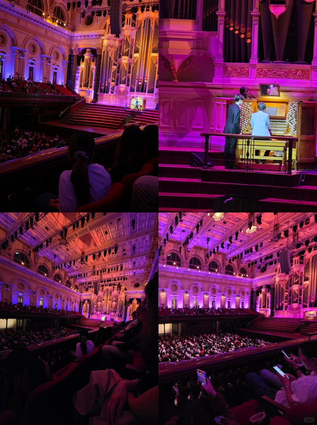 🇦🇺悉尼市政厅免费管风琴音乐会,速约