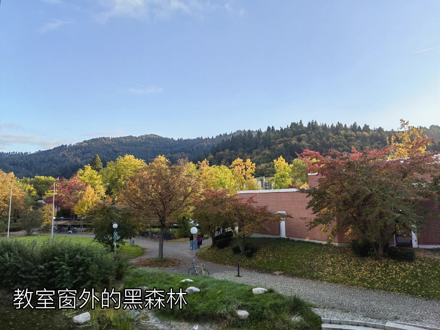 入职德国音乐学院