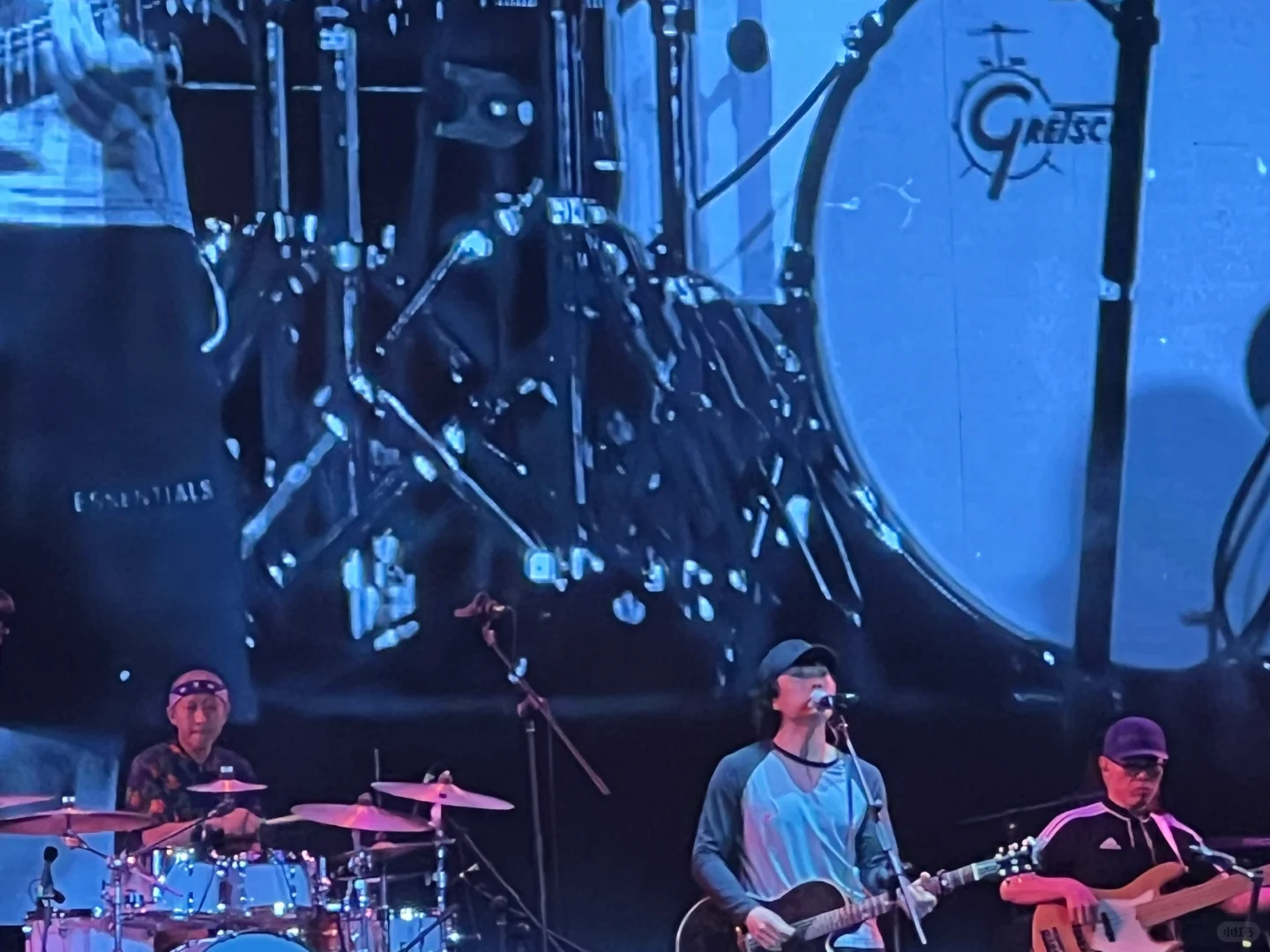 大家是哪一首歌开始认识雷子的呢?