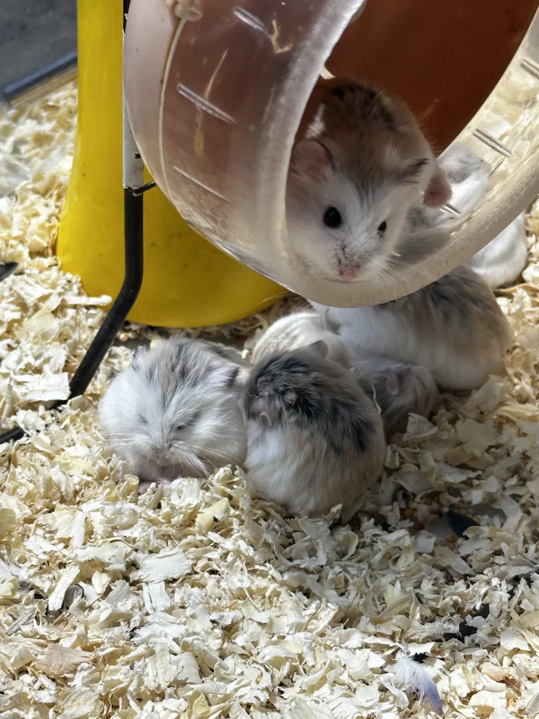 夜晚的图书馆,真的有魔力!📚