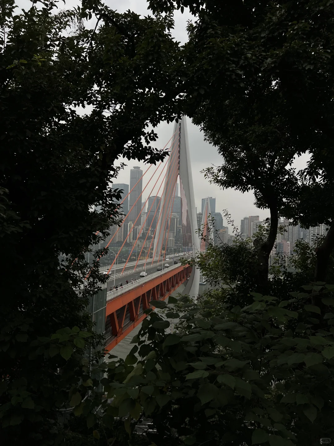 1️⃣8️⃣图放不下我对重庆的喜爱🌉