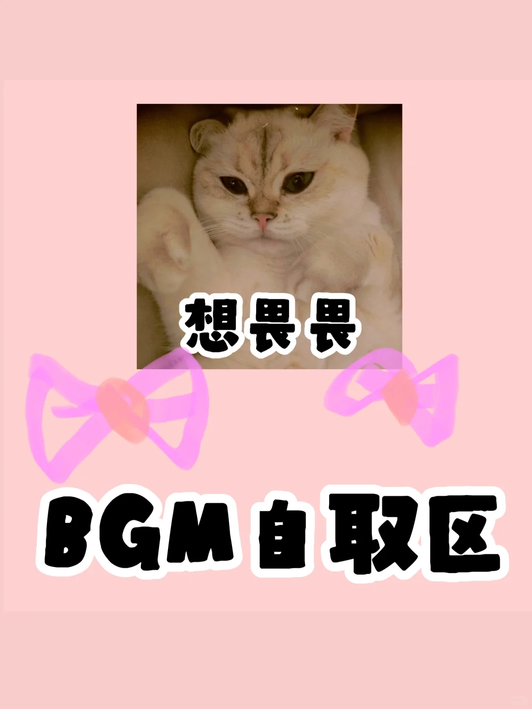 畏畏频bgm分享+彩蛋说明（持更）