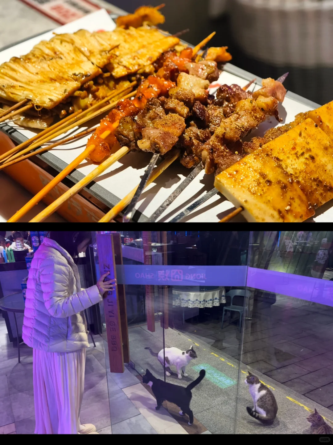 上交机动十佳歌手🧑🎤