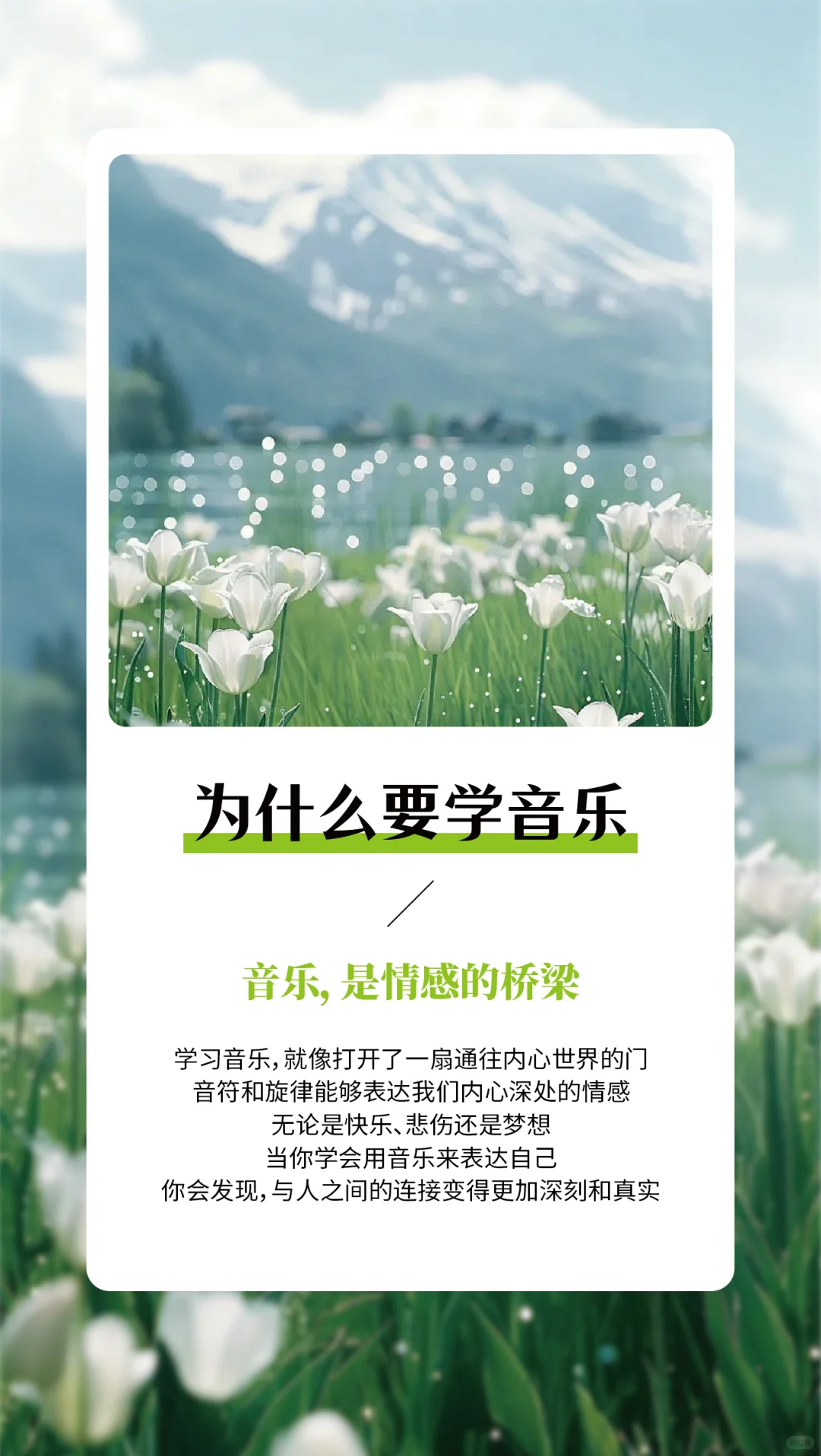 为什么学音乐——早安语录分享