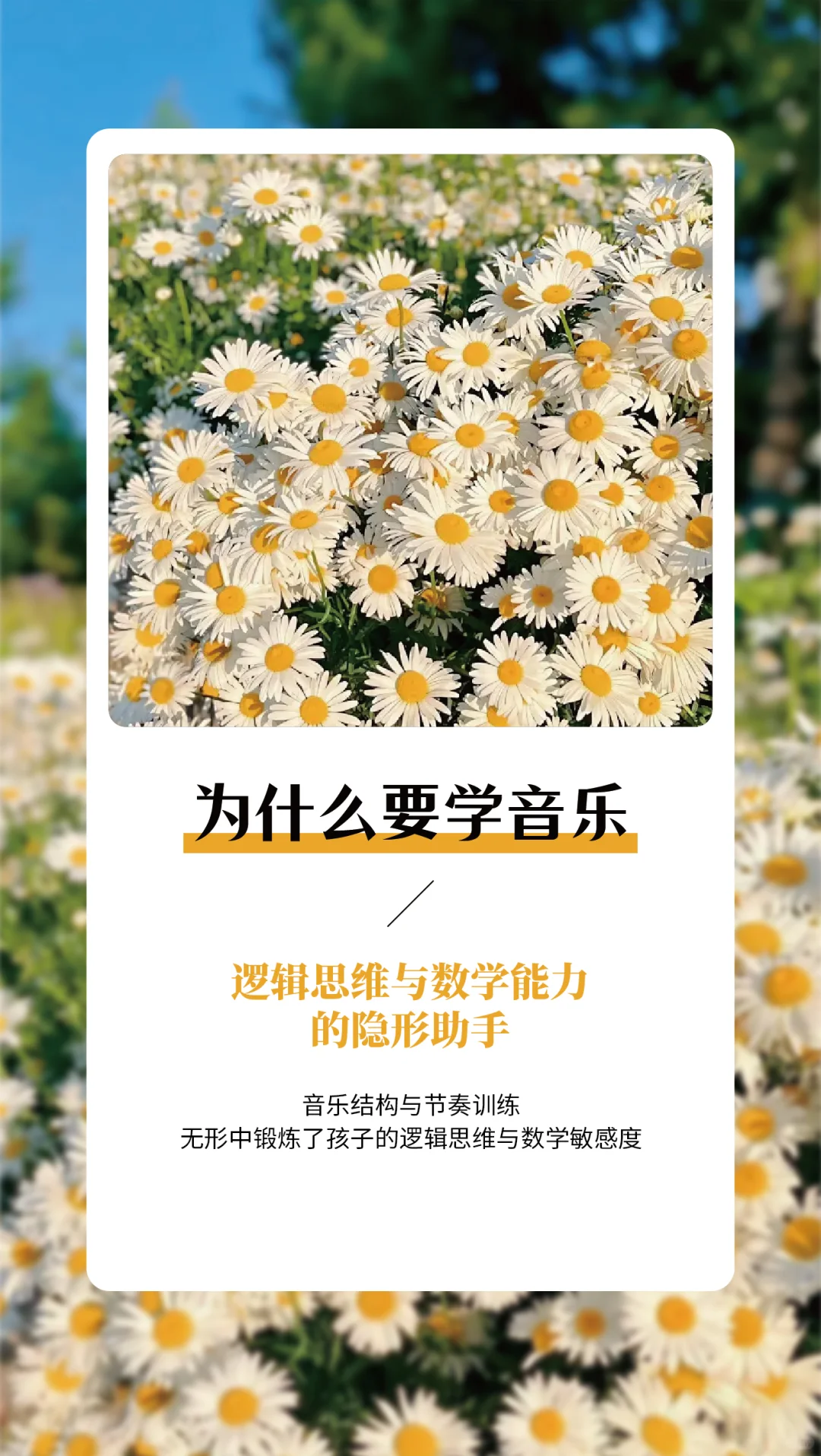 为什么学音乐——每日早安语录分享