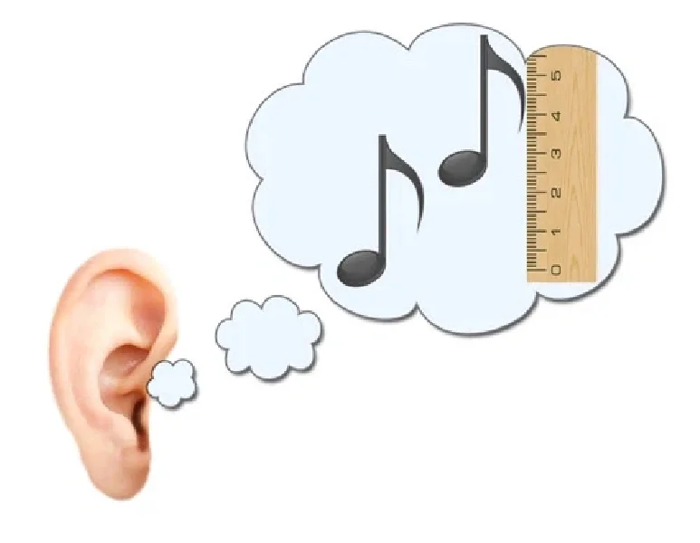 为什么学习音乐必须学习视唱练耳