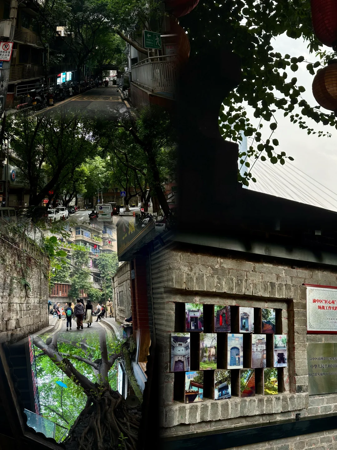 小小重庆 巴适得很🍵🌁