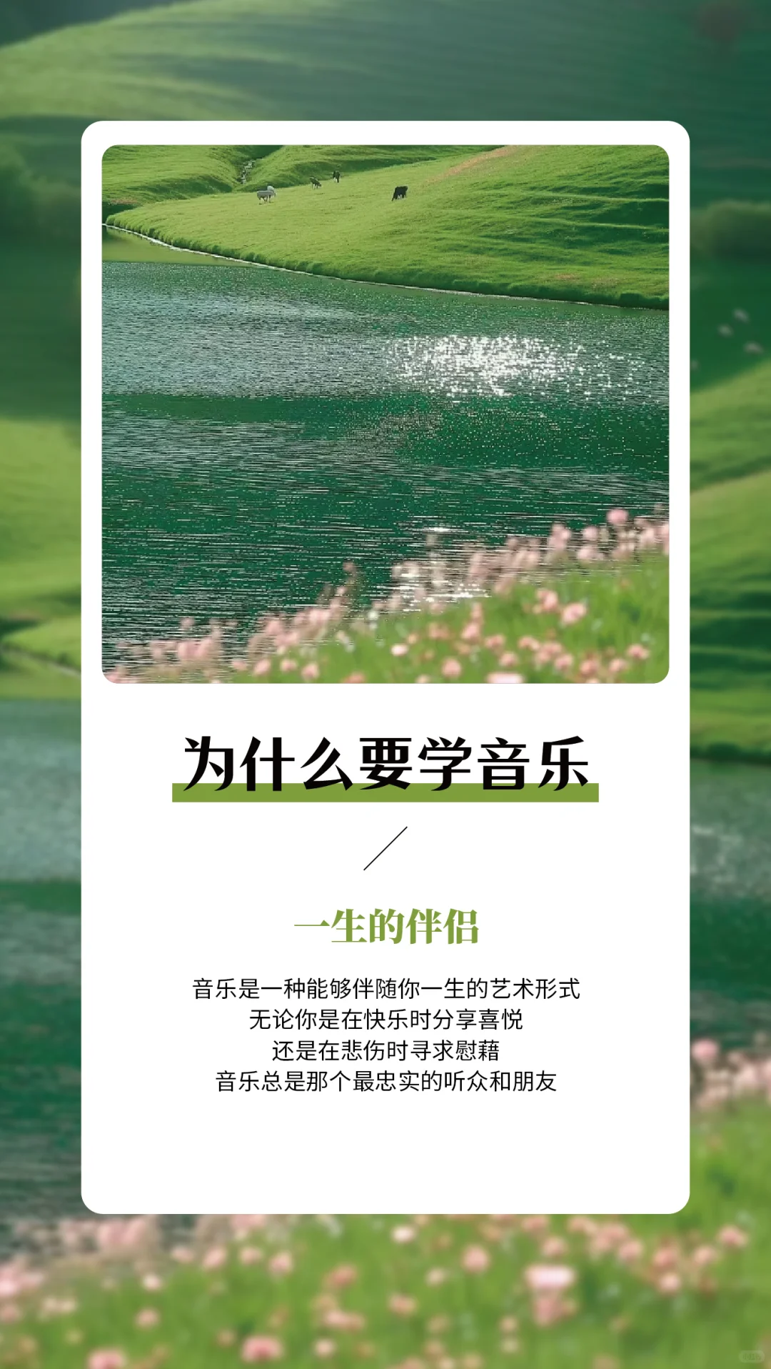 为什么学音乐——早安语录分享