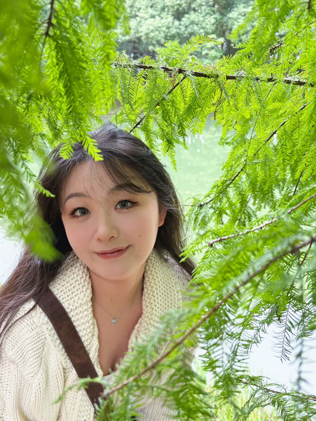 🌳在城市的小角落里吸氧