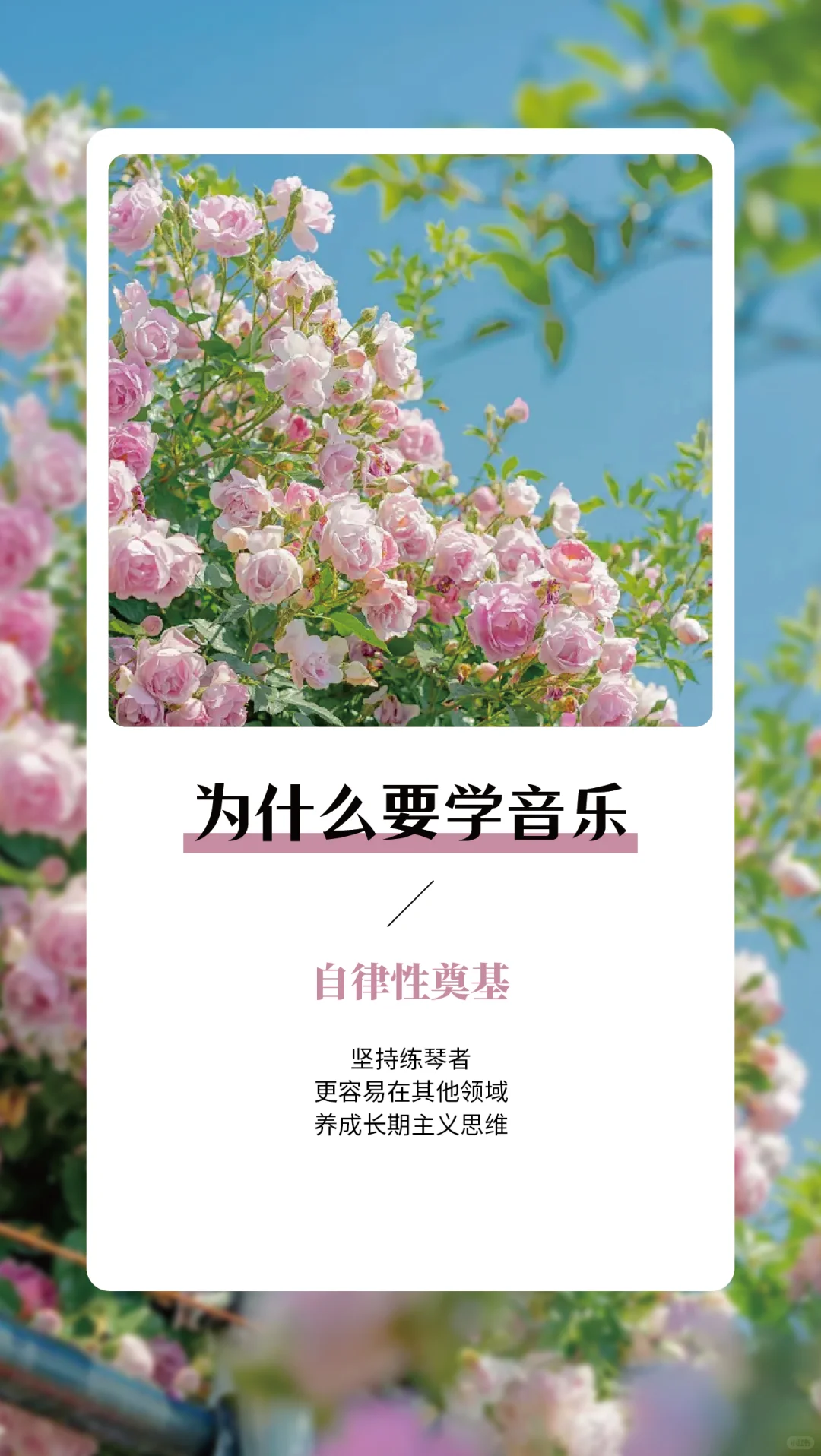 为什么学音乐——每日早安语录分享