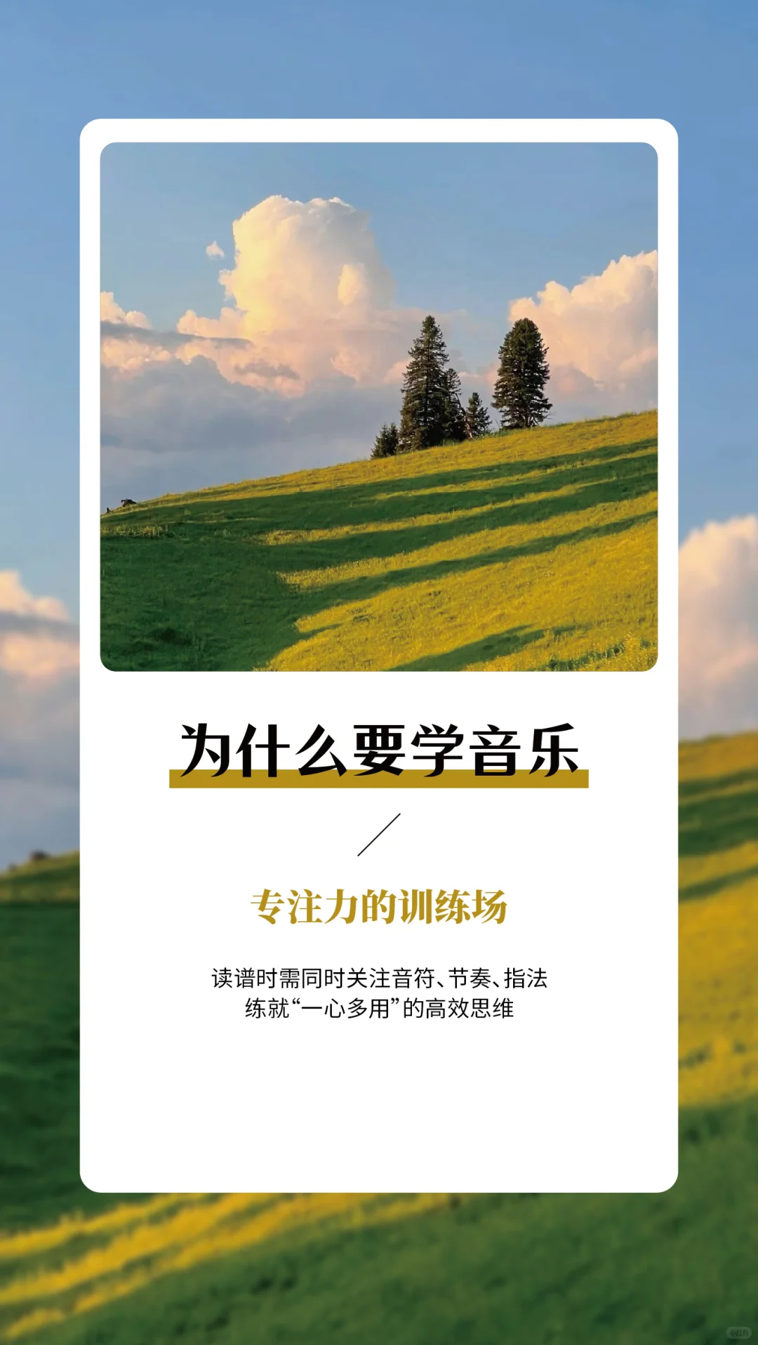 为什么学音乐——每日早安语录分享