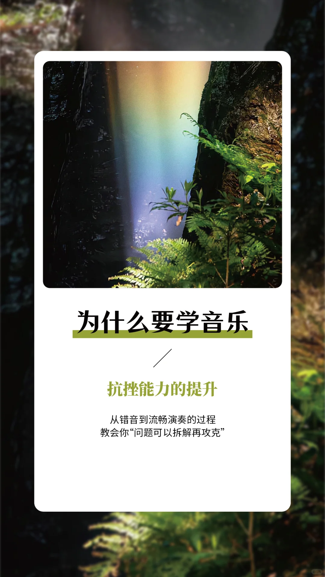 为什么学音乐——每日早安语录分享