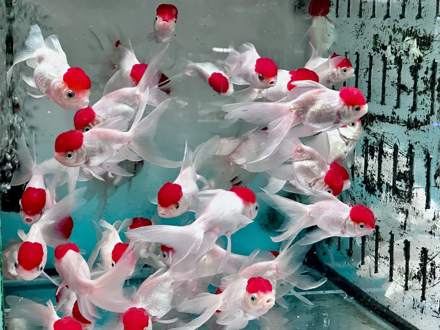 夜晚的图书馆,真的有魔力!📚