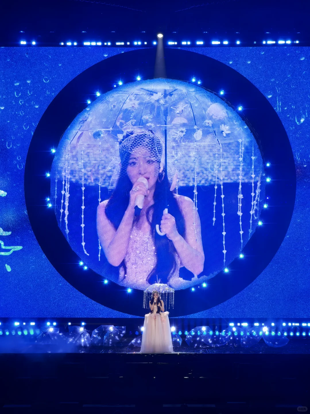 张含韵1101上海演唱会歌单[上座率低]