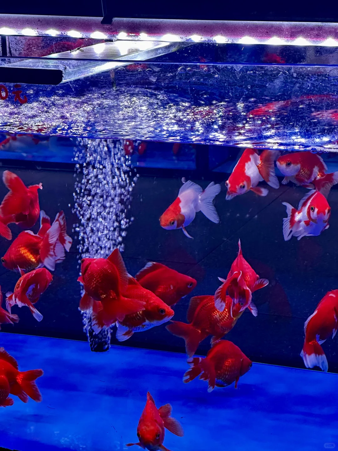 夜晚的图书馆,真的有魔力!📚