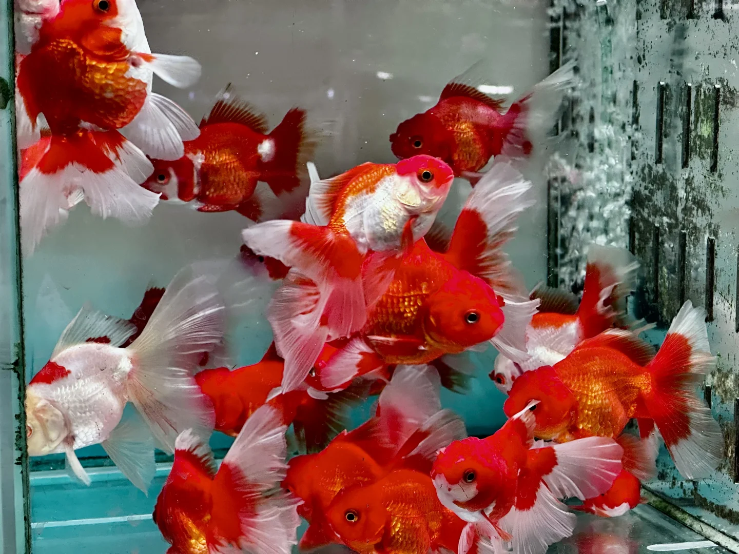 夜晚的图书馆,真的有魔力!📚