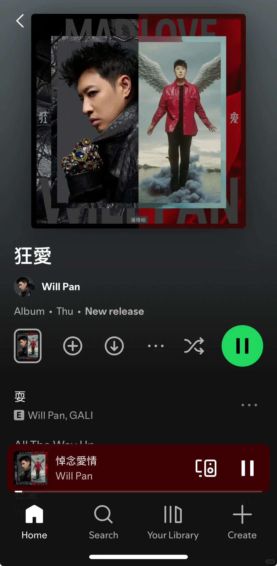 《狂愛》的一些想法（下）