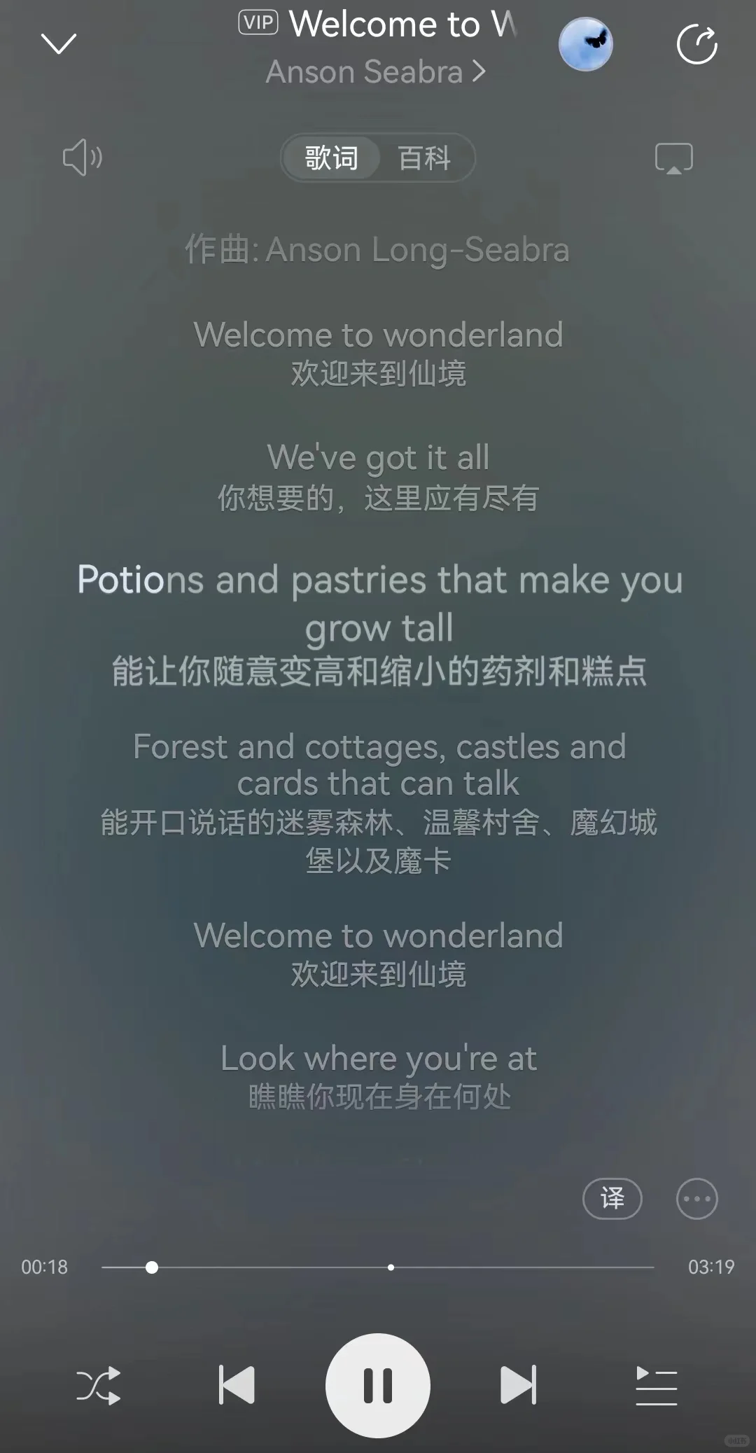 宝藏小众歌手｜温柔治愈优美旋律的英文歌曲