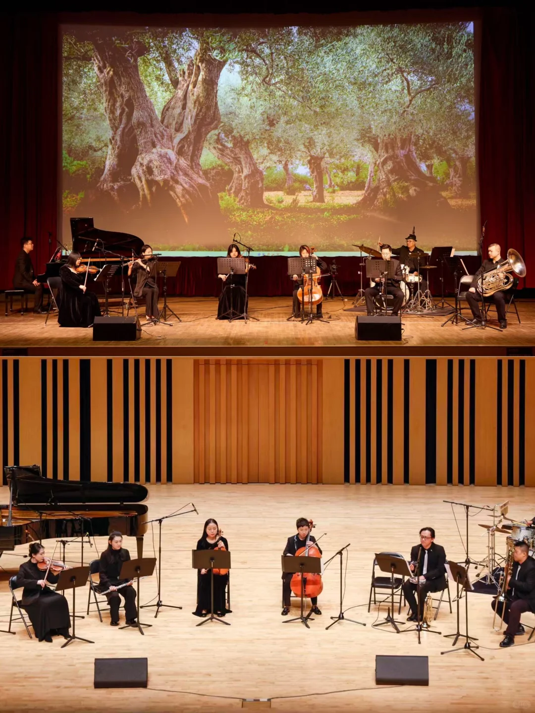 烟台11🈷️高质量演出🔥收藏版