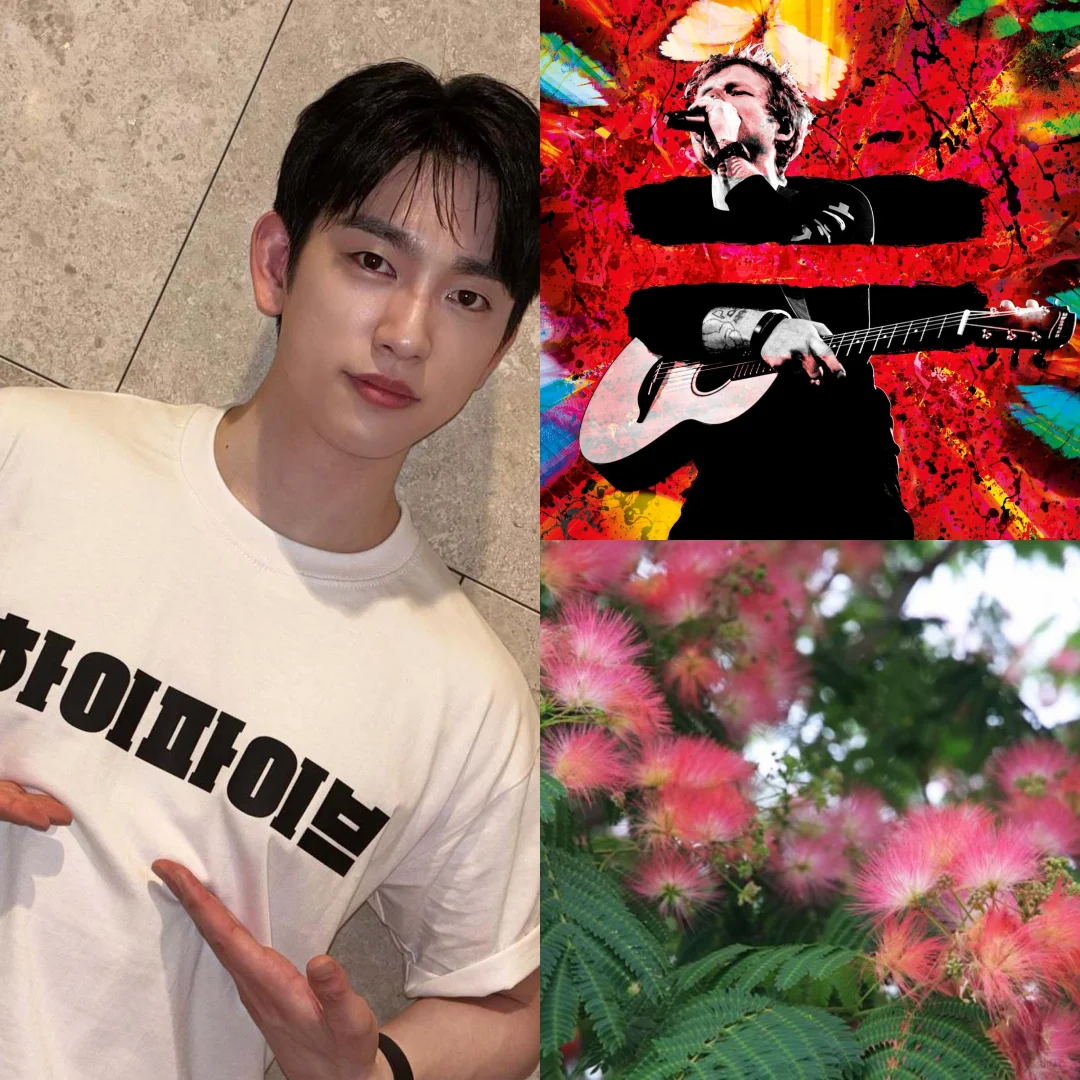 个人认为适配朴珍荣的歌曲和植物