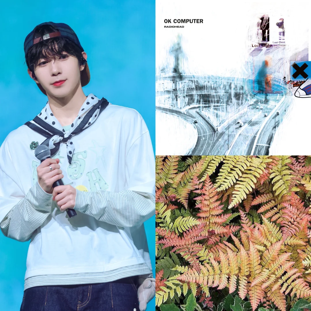 个人认为适配广濑辽的歌曲和植物