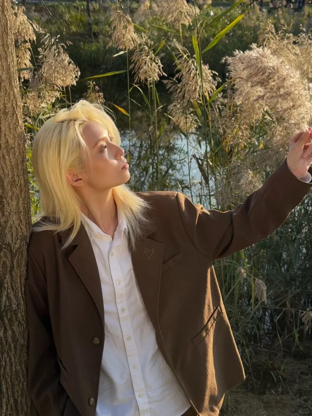 听说北平的秋是鹅黄色的