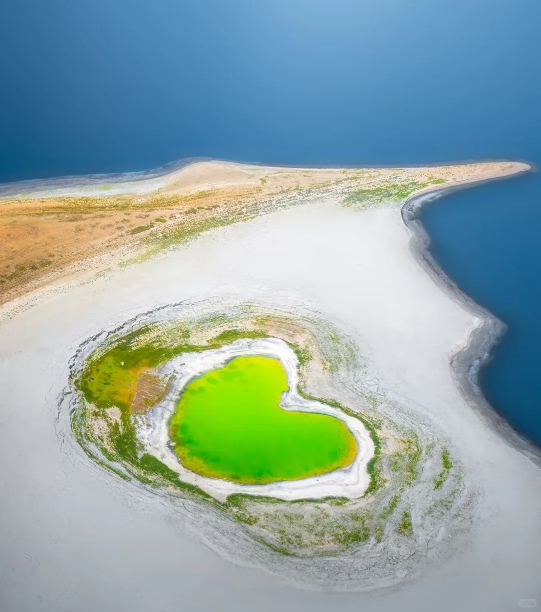 粤语&国语版!情歌王子!十五首经典老歌!