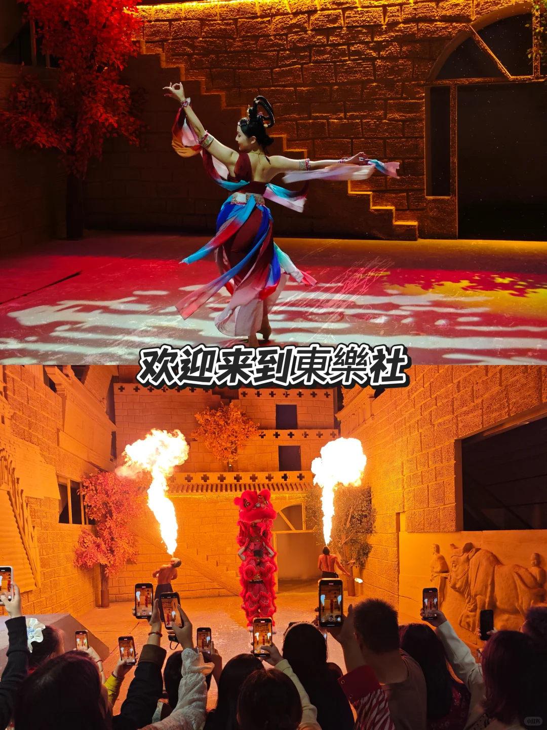 東樂社必看演出小攻略来咯!PS:后有演出表