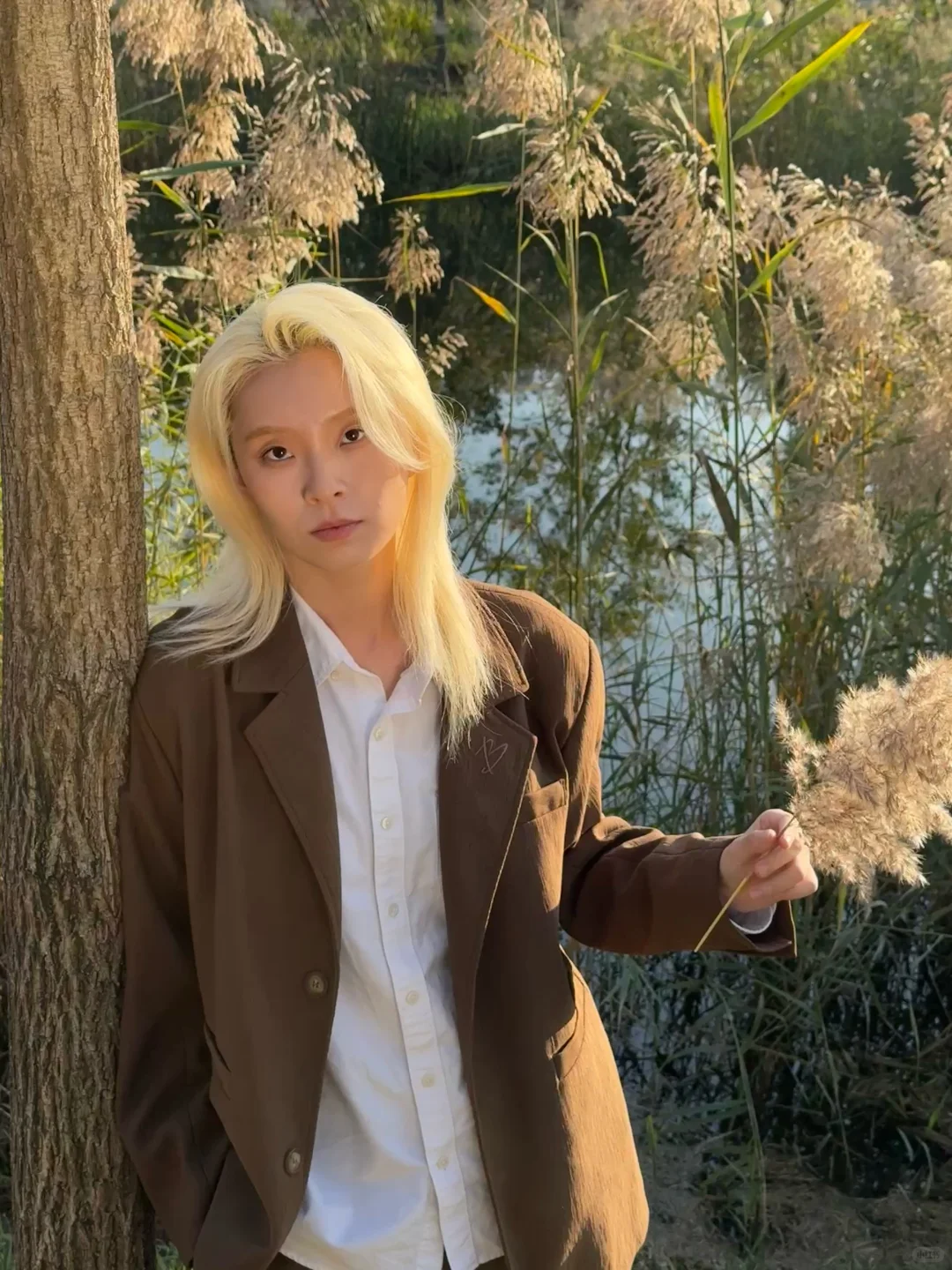 听说北平的秋是鹅黄色的