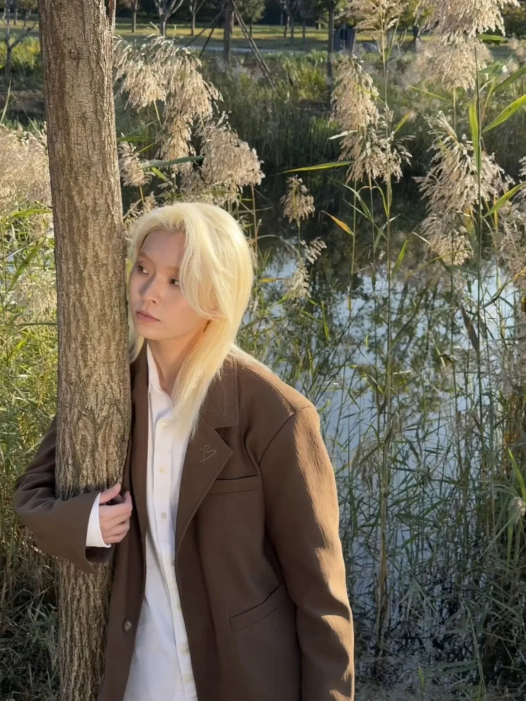 听说北平的秋是鹅黄色的