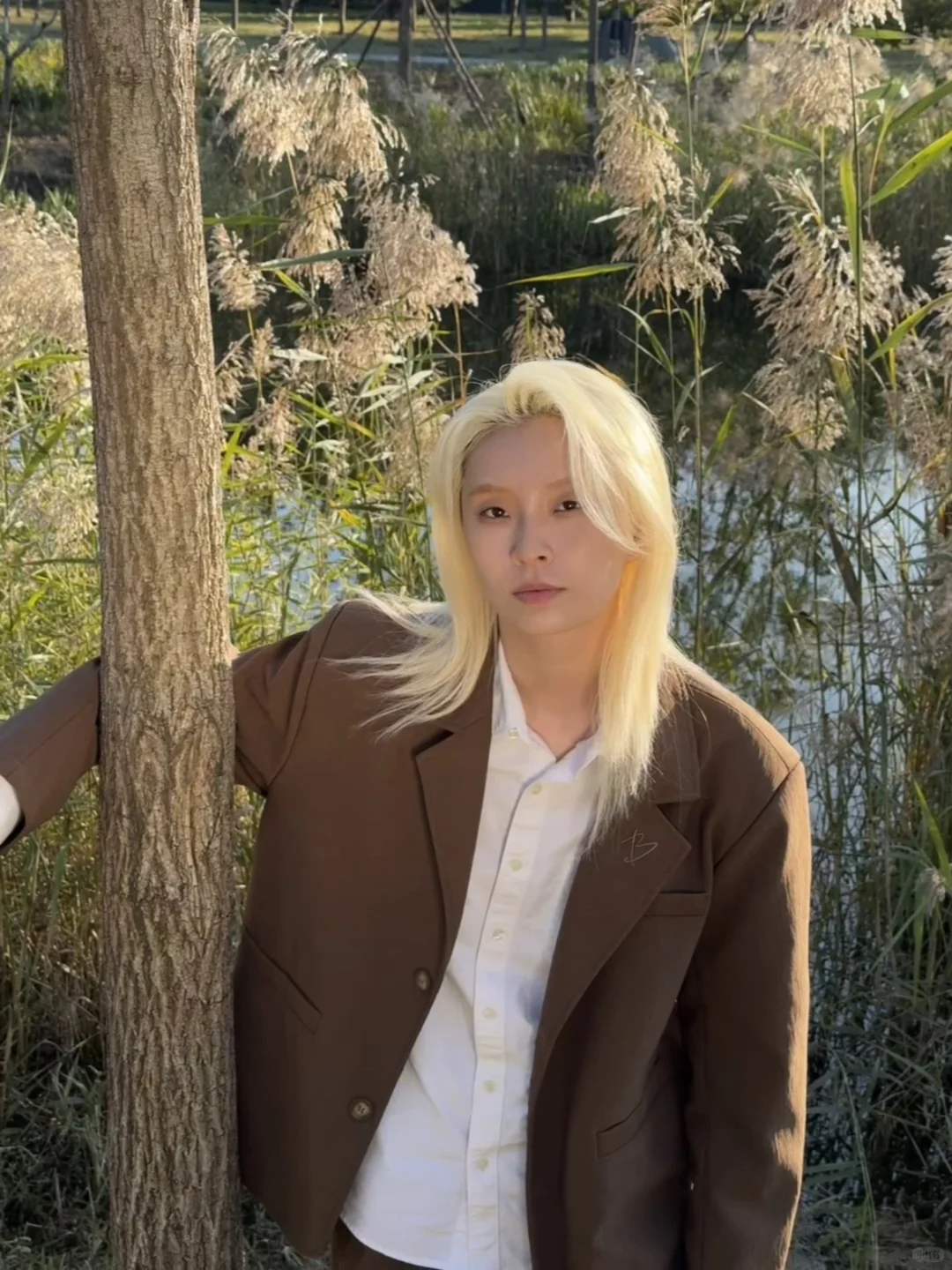 听说北平的秋是鹅黄色的