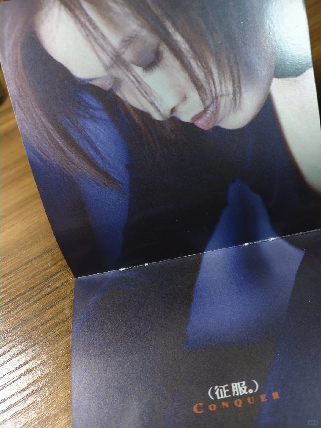 晒碟纪106-那英「征服」