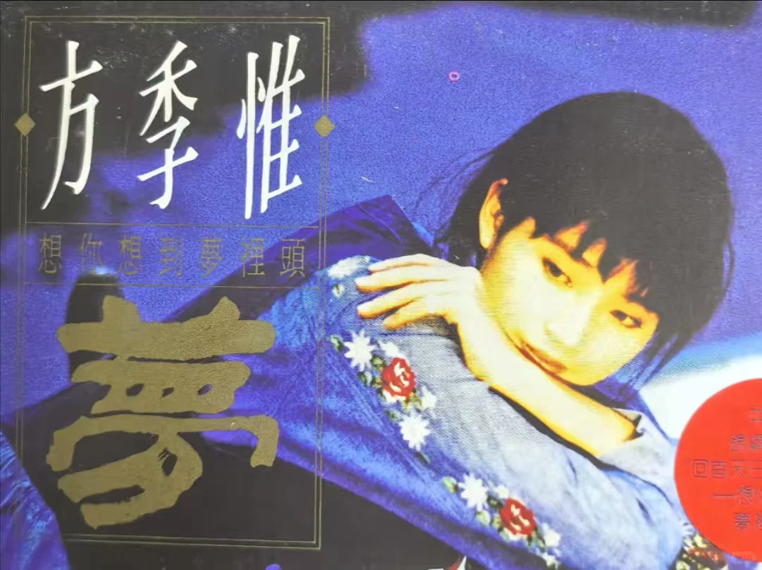 方季惟《想你想到梦里头》