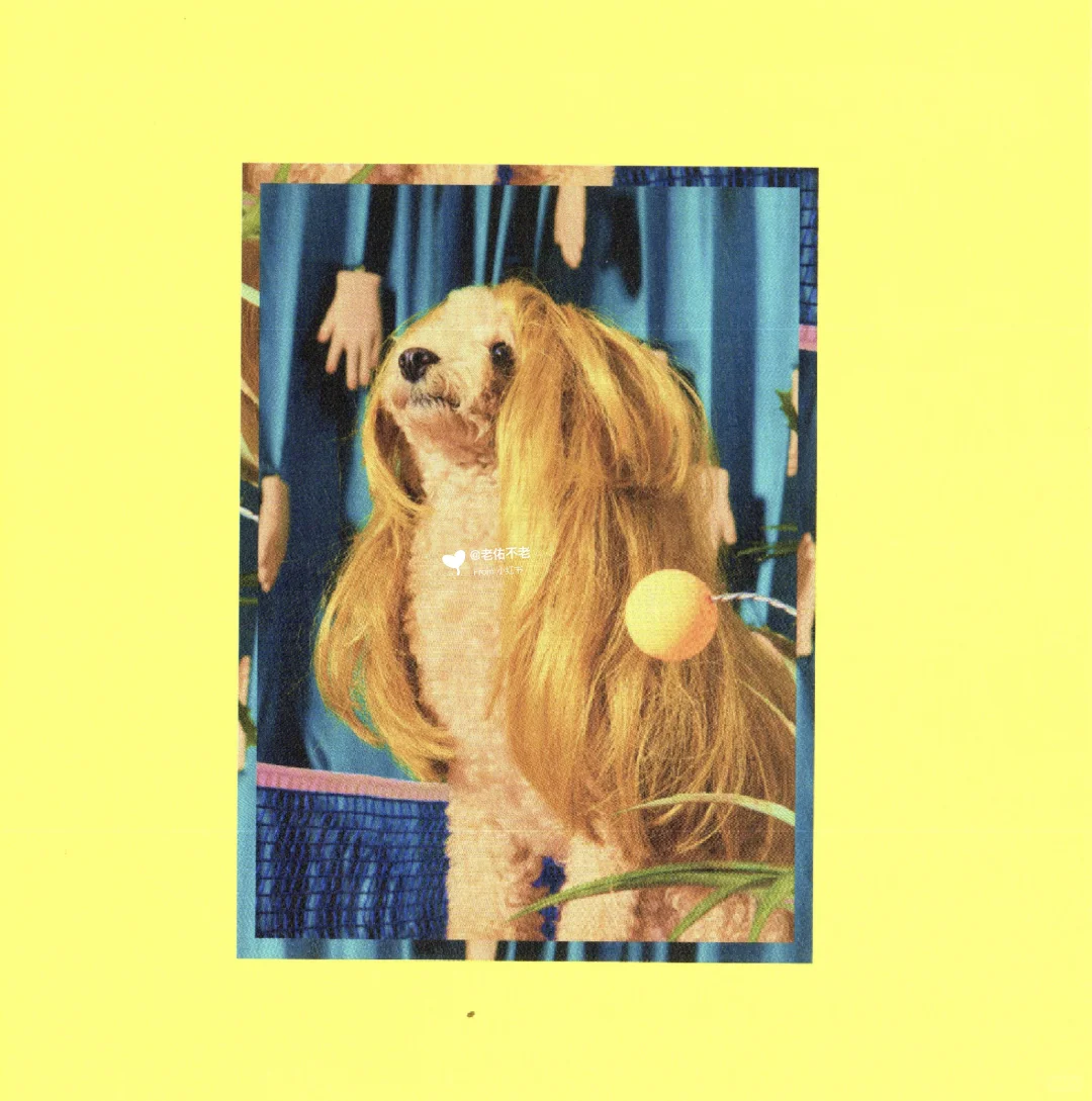 唱片史上的今天｜吕蔷《O_Love》