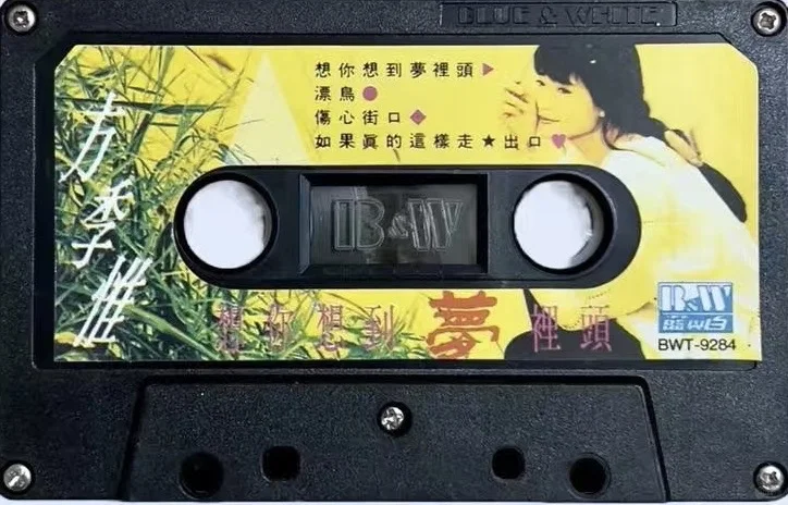 方季惟《想你想到梦里头》