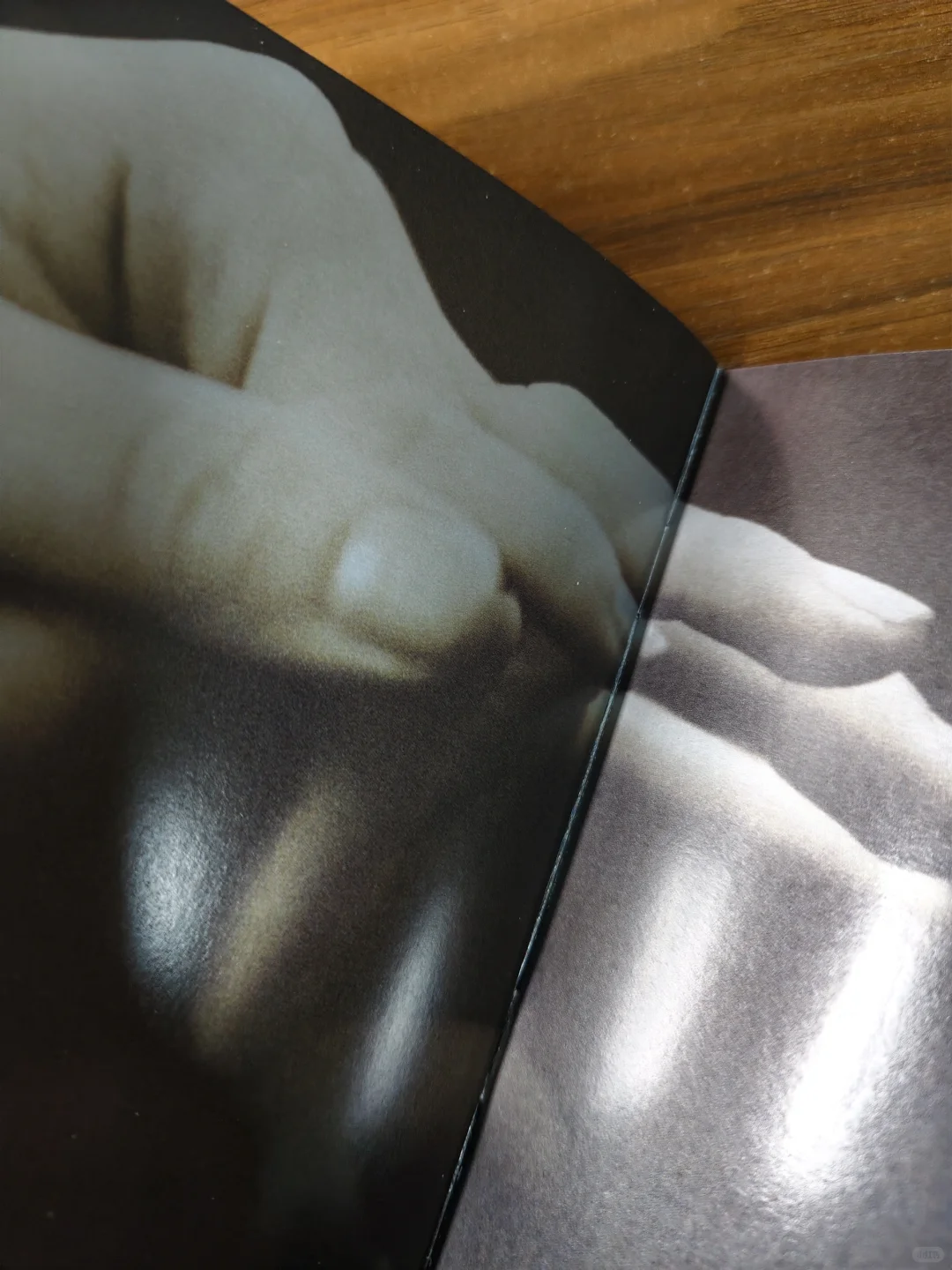 晒碟纪106-那英「征服」