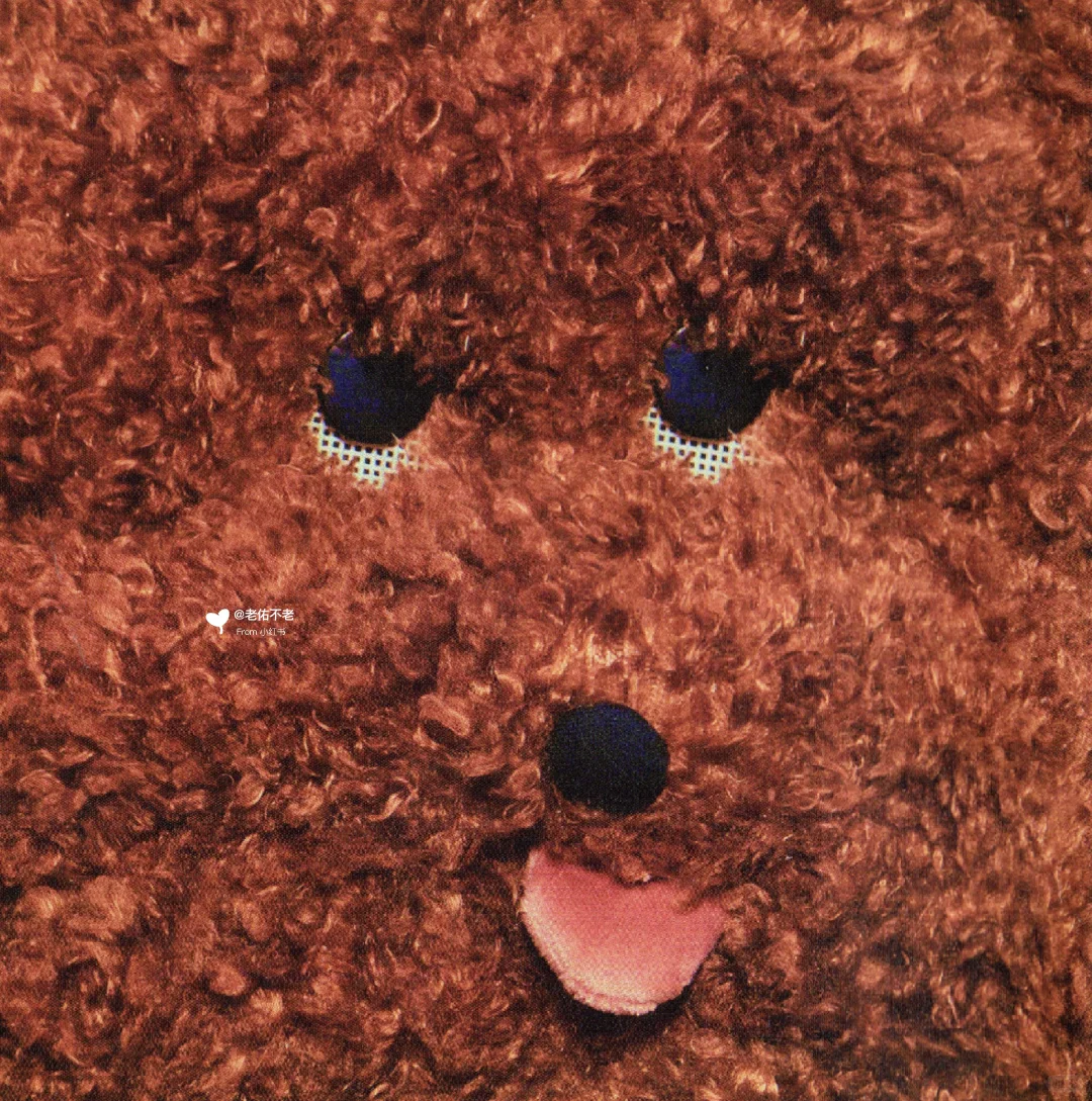 唱片史上的今天｜吕蔷《O_Love》