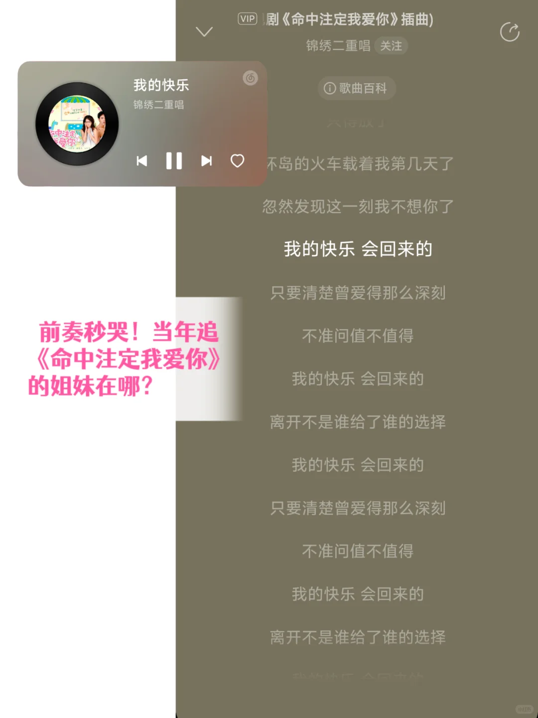 谁的DNA动了❗40首偶像团体青春金曲🎼