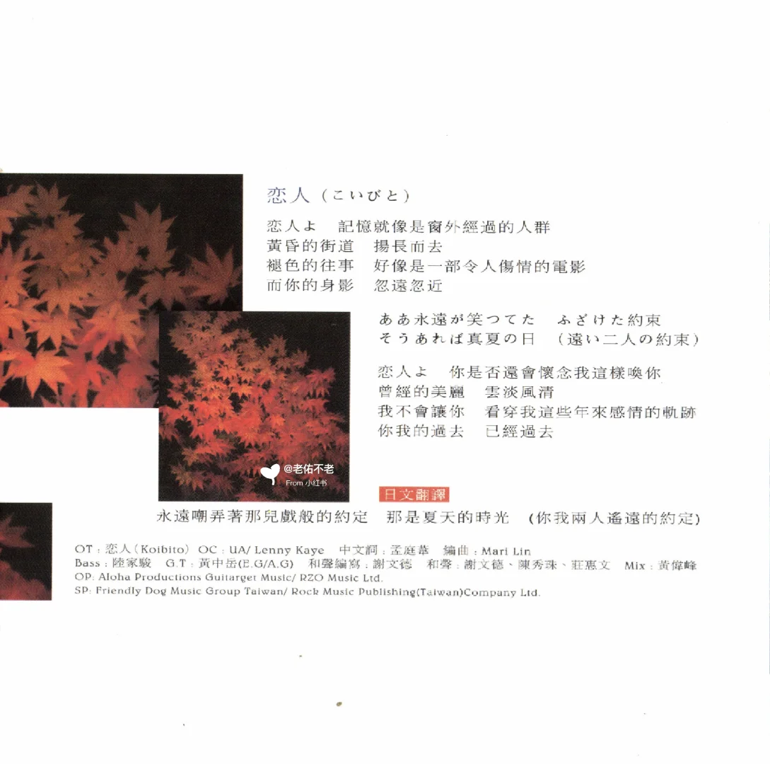 唱片史上的今天｜孟庭苇《恋人》