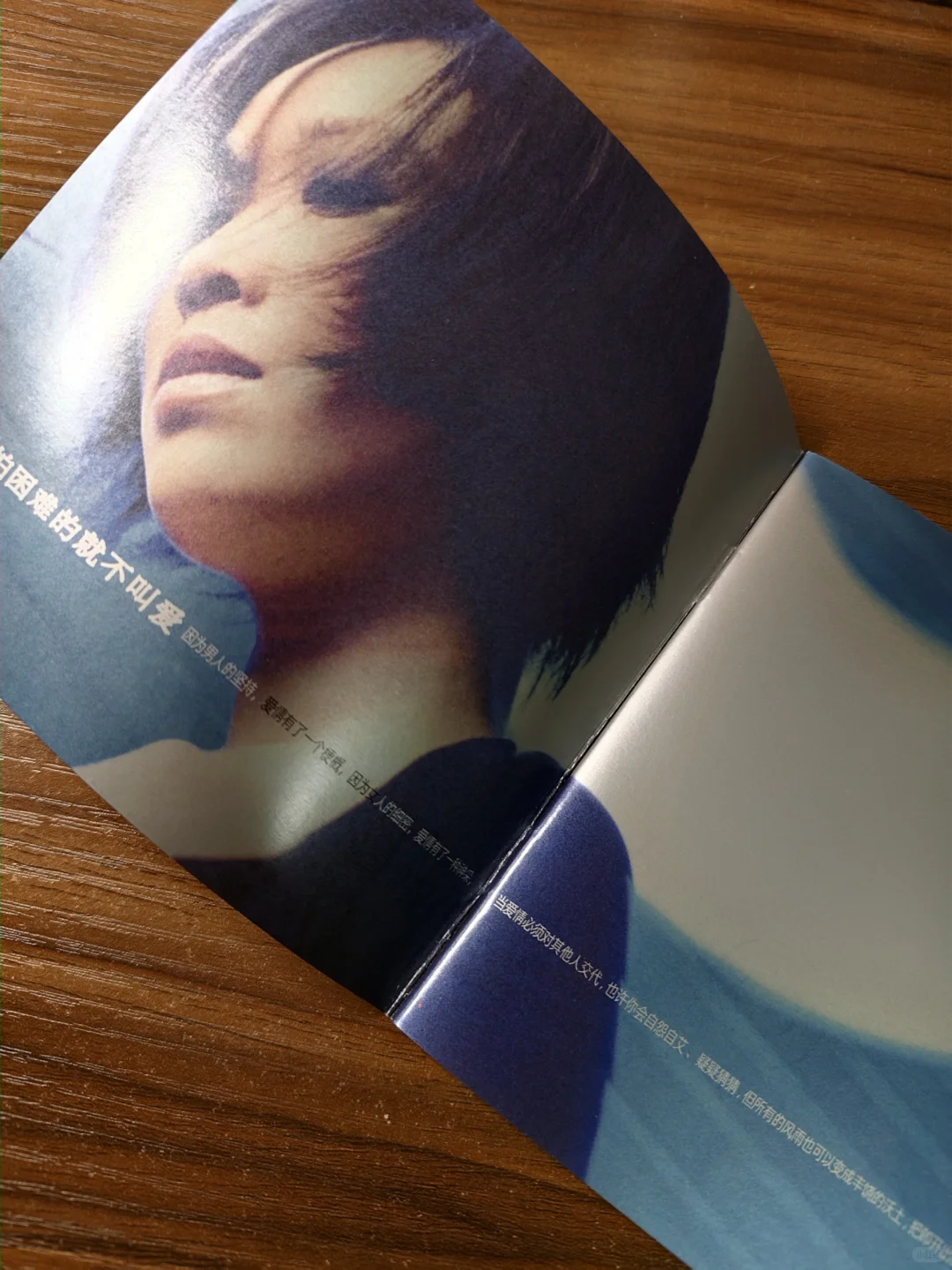 晒碟纪106-那英「征服」