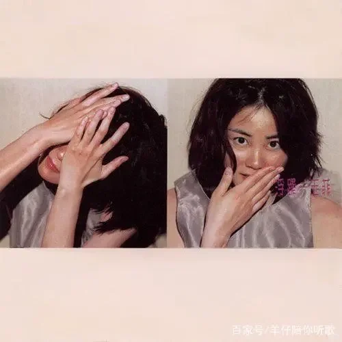 我心中的华语十佳专辑GOAT